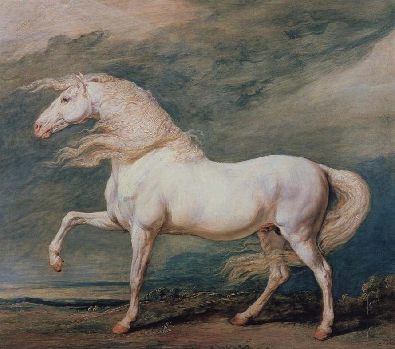 Edward Bower Adonis, King George ill's it Favourite Charger oil painting image